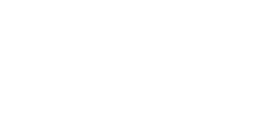 Skywind Group 로고.
