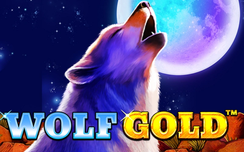 Melbet Wolf Gold는 야생의 신비로운 에너지를 느끼며 거대한 잭팟을 놓고 경쟁할 수 있는 게임입니다.